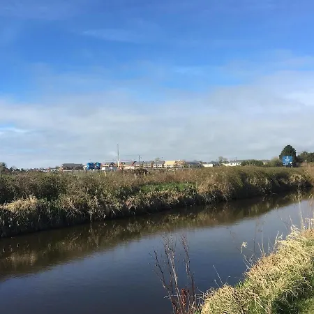 The Kildare